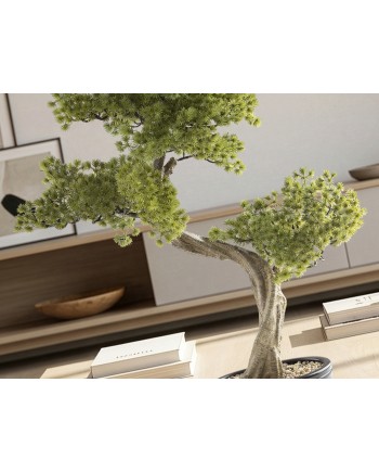 BANKAN II - BONSAI 49CM- SET 2